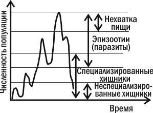 §5. Динамика численности популяций